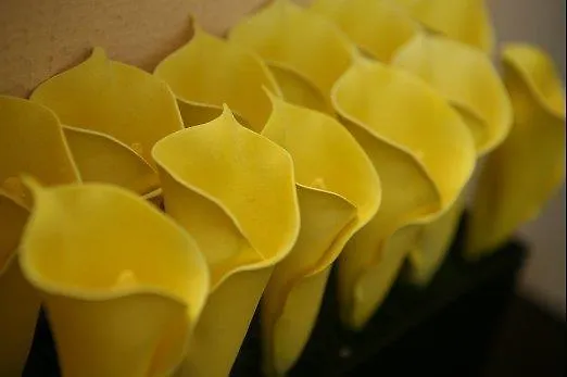 酒店 林德霍夫酒店