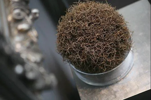 リンデンホフ 3*